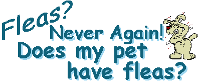 Does my pet have fleas?