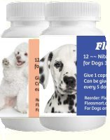 Flea Killer -- FleaKillerPLUS.com