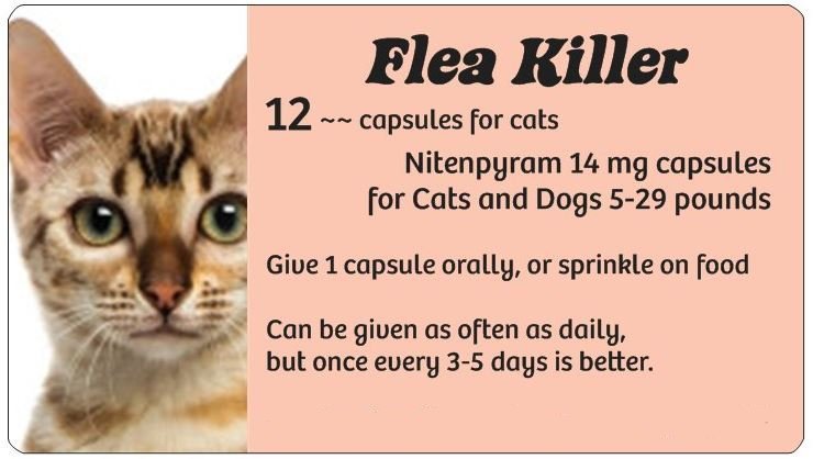 Cat Flea Killer (peach)