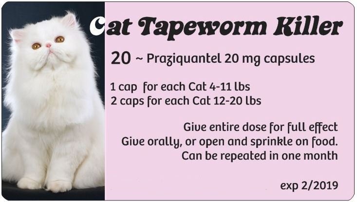 Small Cat Tapeworm Killer (pink)