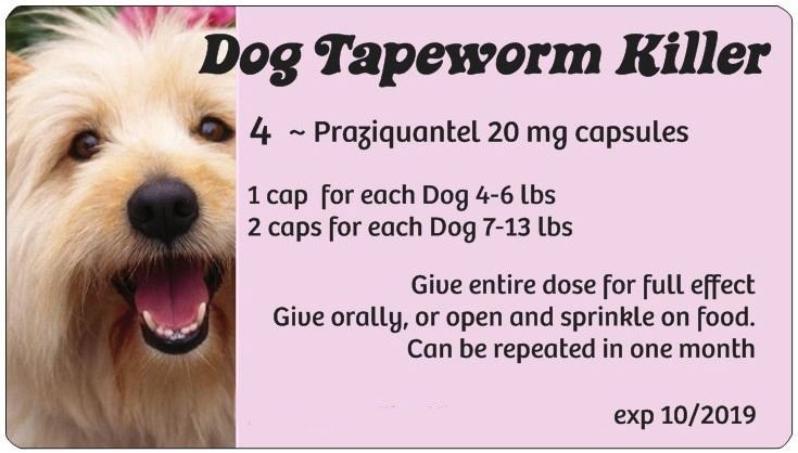 Regular Dog Tapeworm Killer (pink)
